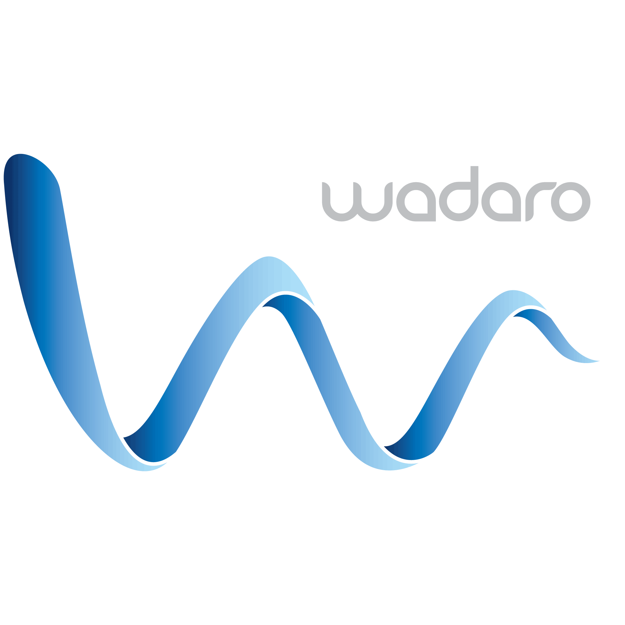 Wadaro icon logo